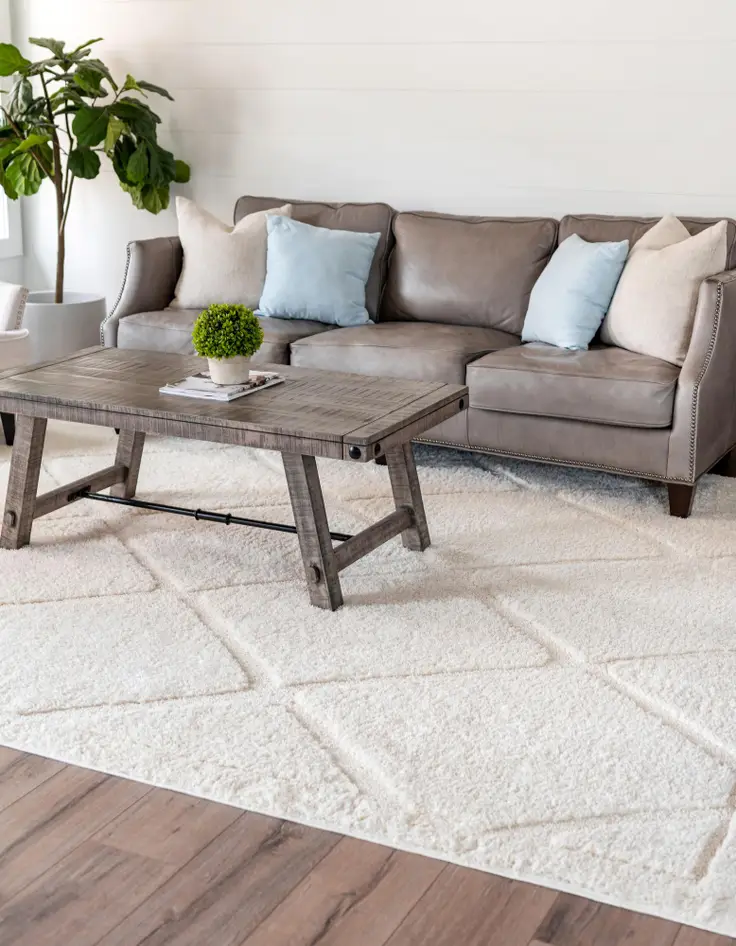 Ivory area rug in a bright living room with a gray sectional