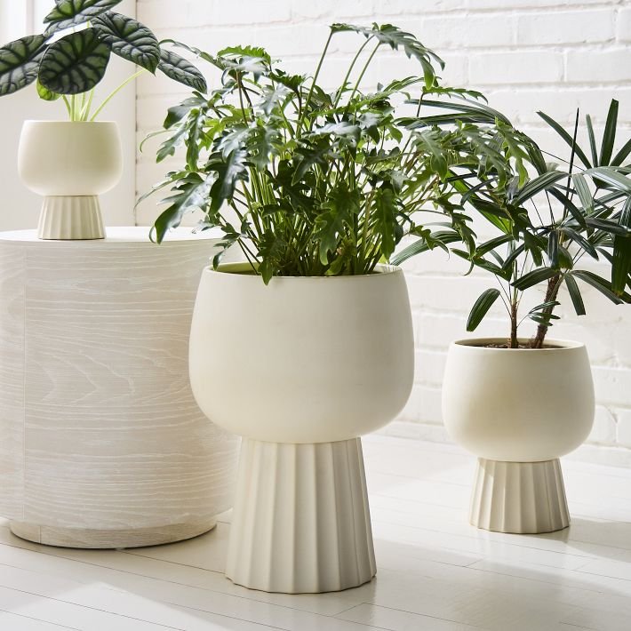 Minimal ceramic planters with leafy plants