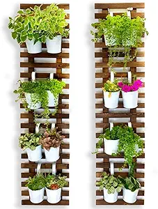 Vertical garden with potted plants mounted on a wooden wall structure.