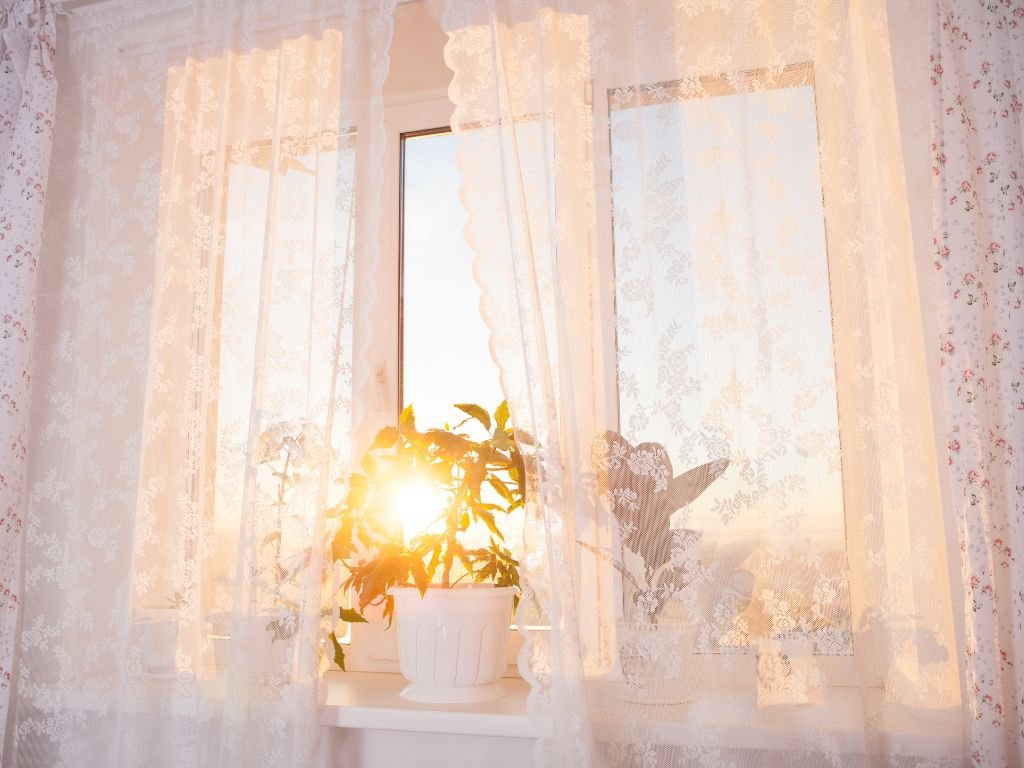 Golden curtain-filtered light with plant by window.