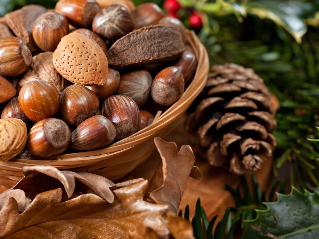 Bowl of acorns and pinecones
