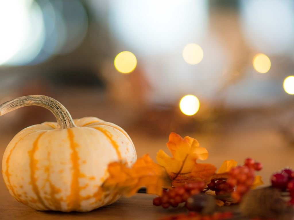 White mini pumpkin with autumn lights