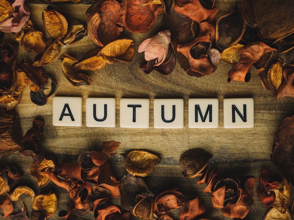 Potpourri background with “Autumn” letters