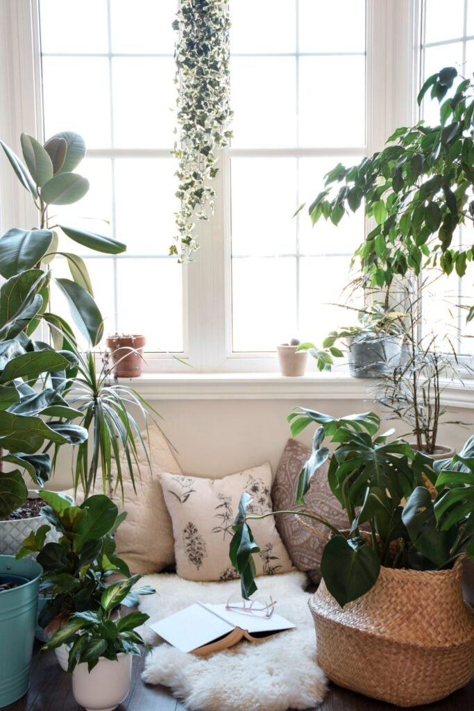 Window nook surrounded by lush indoor plants and cushions.